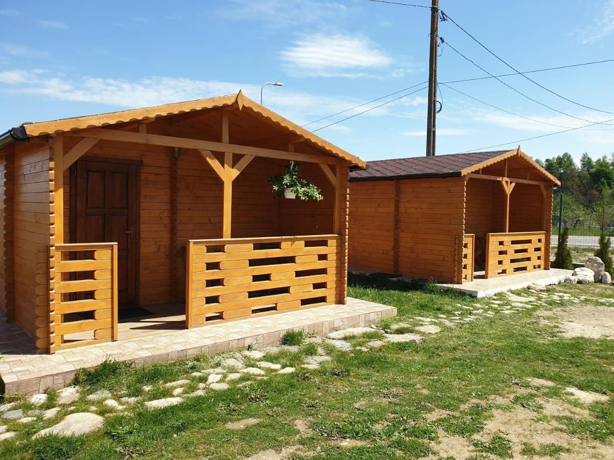 Casa Fericirii Villa Cîrţişoara Buitenkant foto