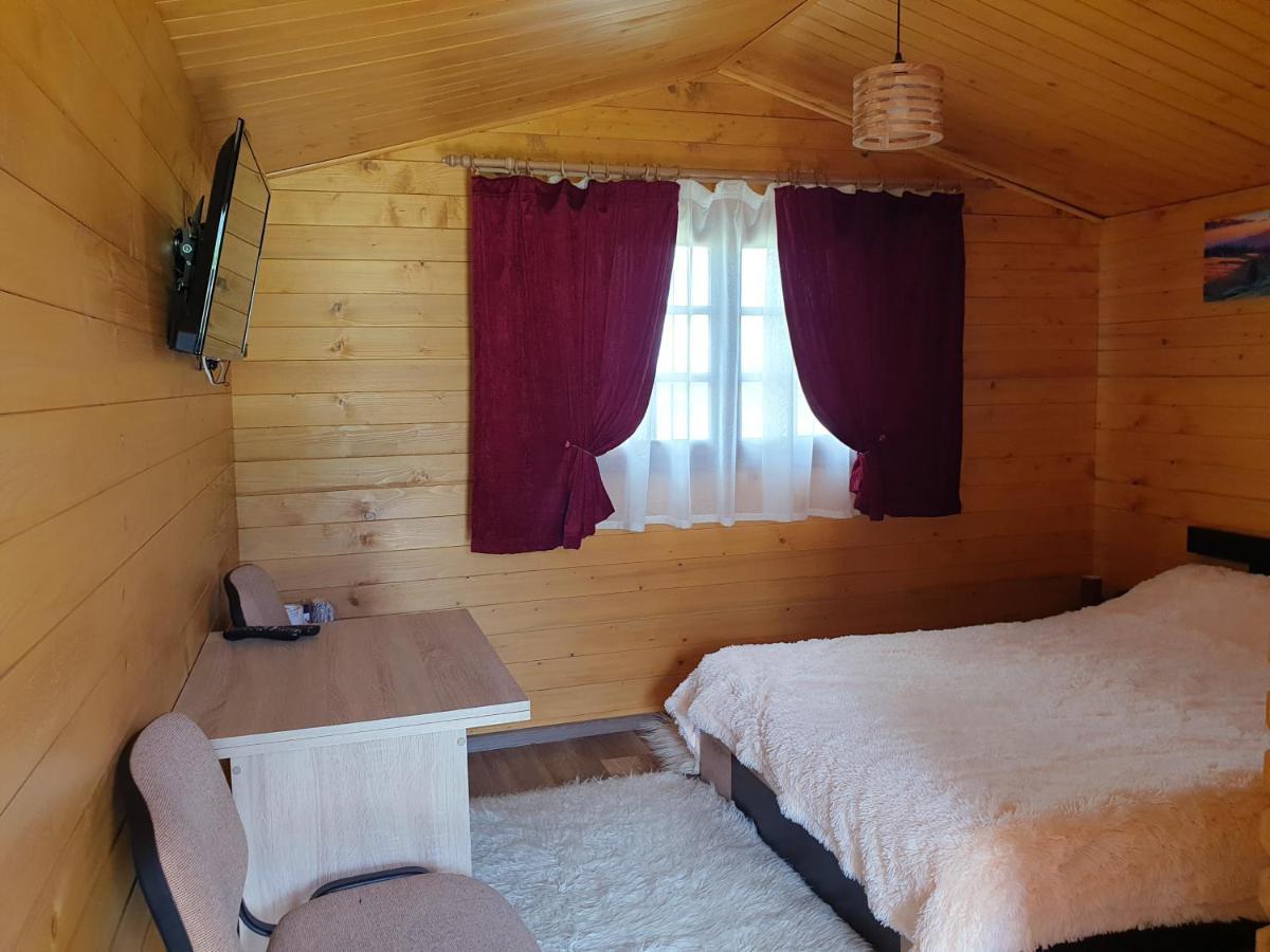 Casa Fericirii Villa Cîrţişoara Buitenkant foto