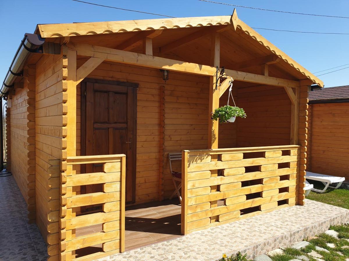 Casa Fericirii Villa Cîrţişoara Buitenkant foto