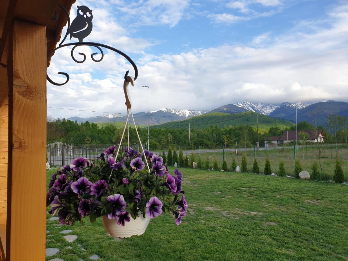 Casa Fericirii Villa Cîrţişoara Buitenkant foto