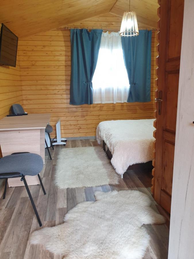 Casa Fericirii Villa Cîrţişoara Buitenkant foto