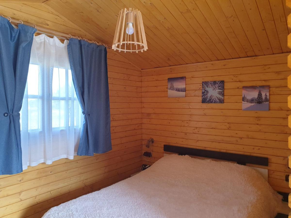 Casa Fericirii Villa Cîrţişoara Buitenkant foto