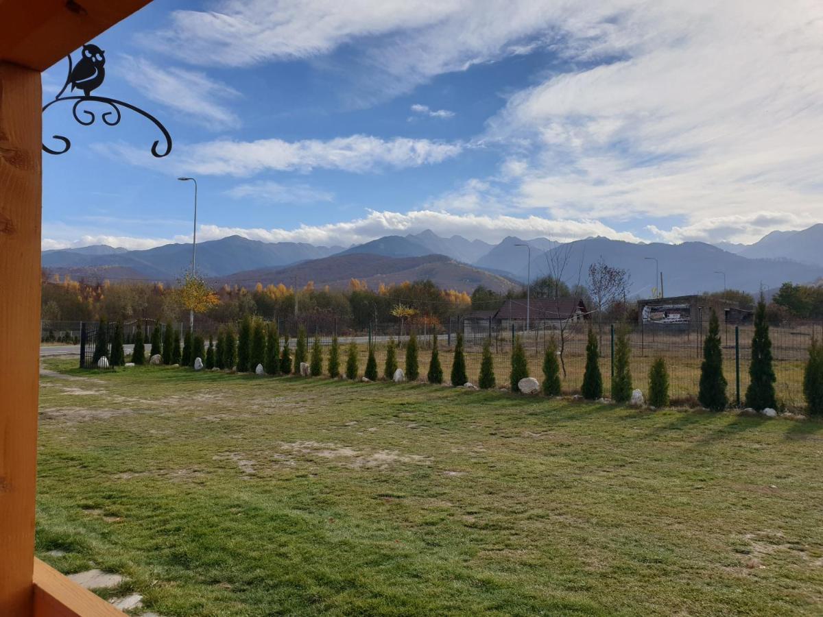 Casa Fericirii Villa Cîrţişoara Buitenkant foto