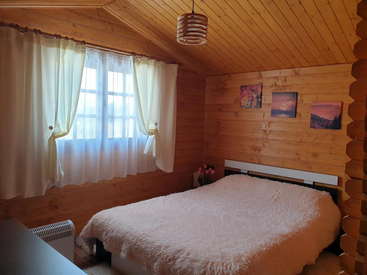 Casa Fericirii Villa Cîrţişoara Buitenkant foto
