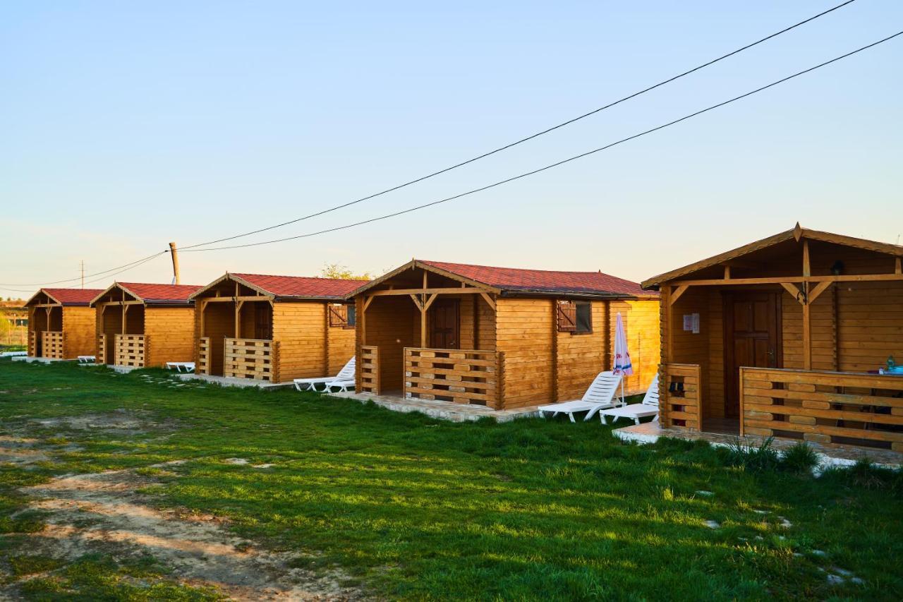 Casa Fericirii Villa Cîrţişoara Buitenkant foto