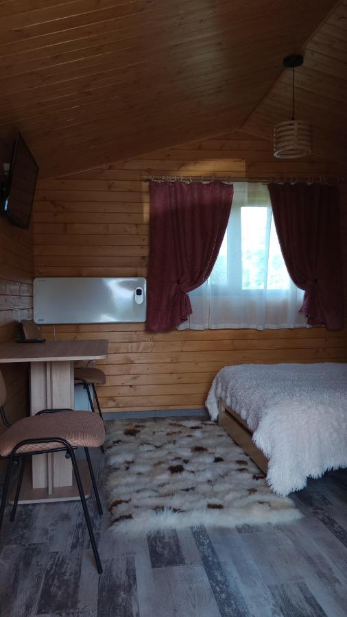 Casa Fericirii Villa Cîrţişoara Buitenkant foto