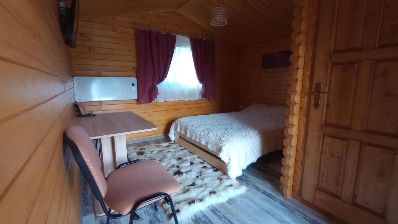 Casa Fericirii Villa Cîrţişoara Buitenkant foto