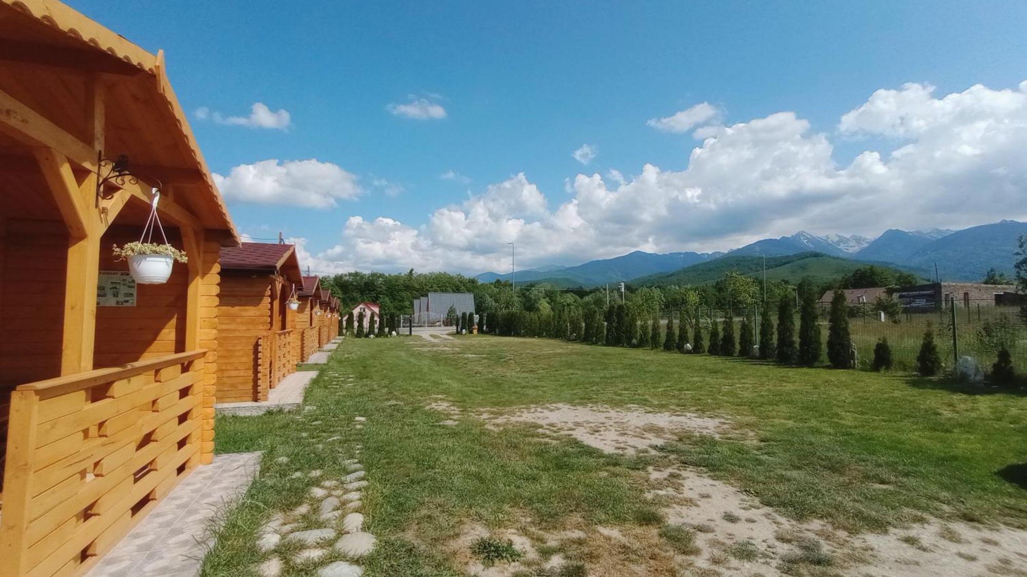 Casa Fericirii Villa Cîrţişoara Buitenkant foto