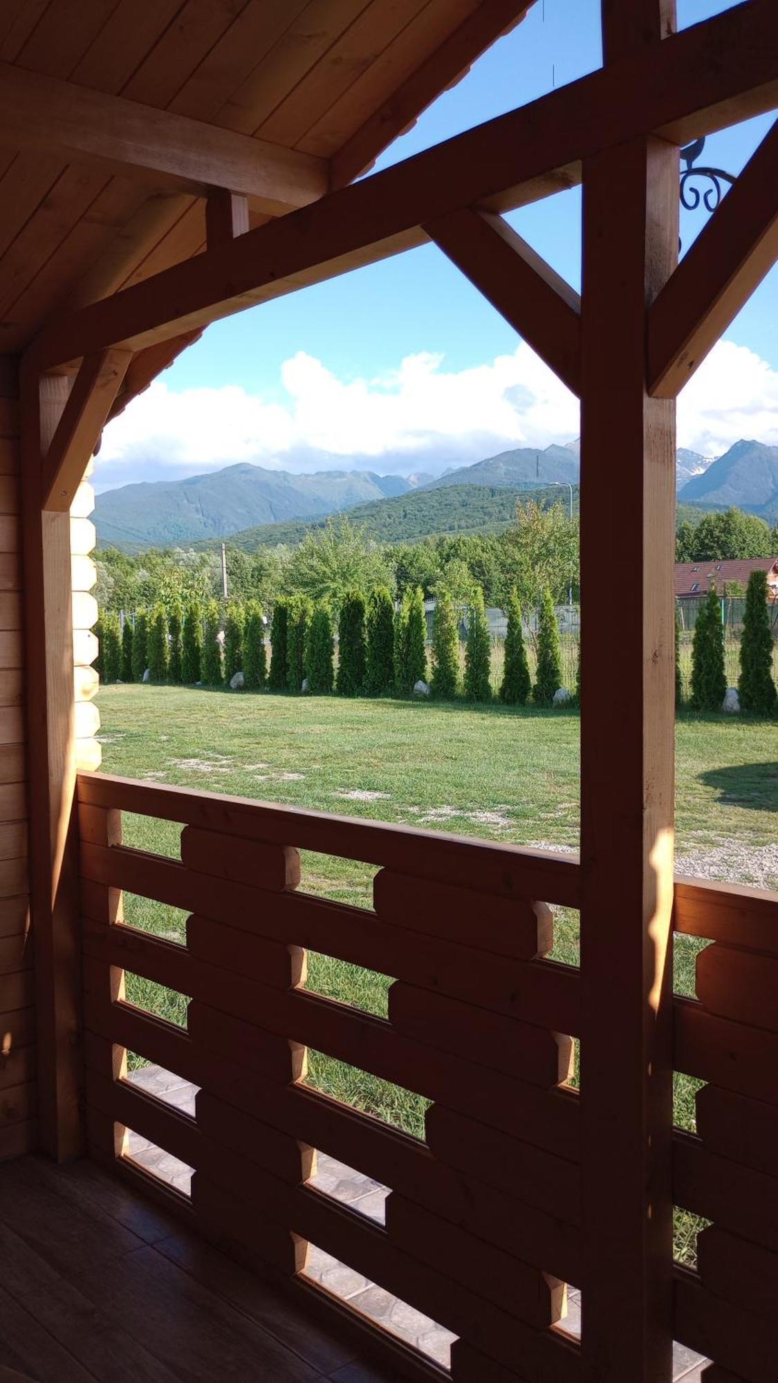 Casa Fericirii Villa Cîrţişoara Buitenkant foto