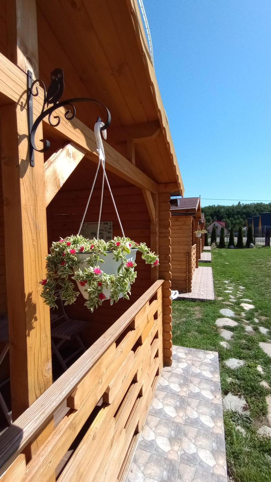 Casa Fericirii Villa Cîrţişoara Kamer foto