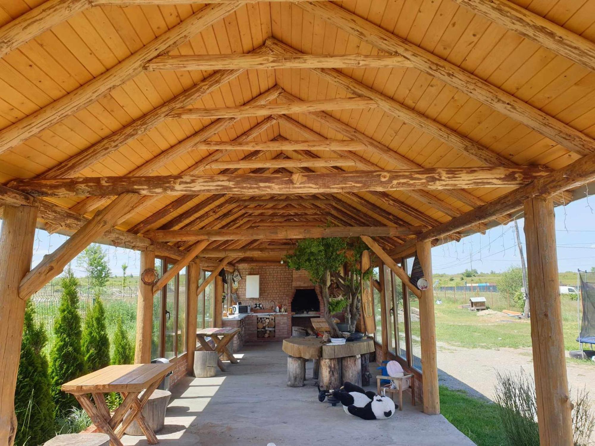 Casa Fericirii Villa Cîrţişoara Buitenkant foto