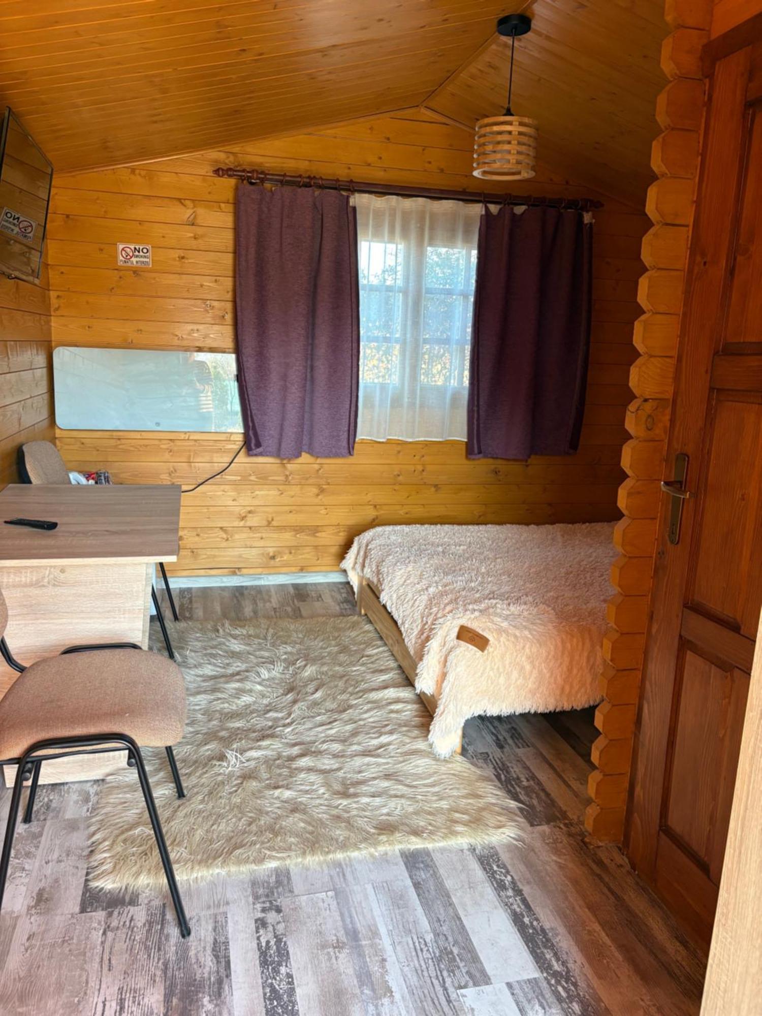 Casa Fericirii Villa Cîrţişoara Buitenkant foto